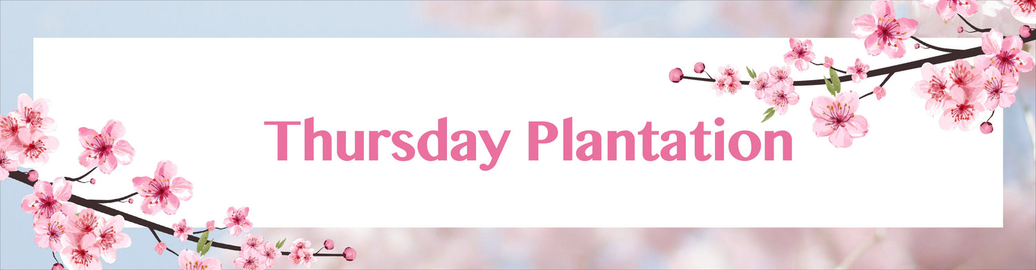 Thursday Plantation