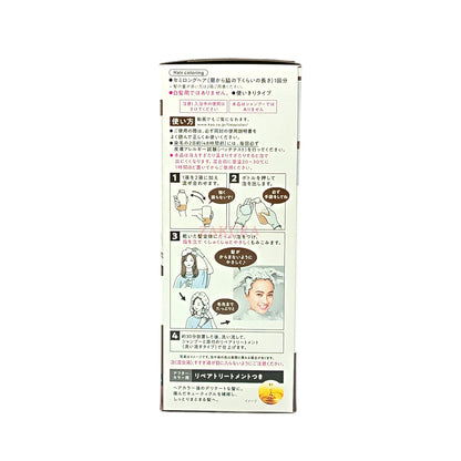 Liese Prettia Dyeing Foam 108ml (Milk Tea/Natural Brow/Black) Natural Brow
